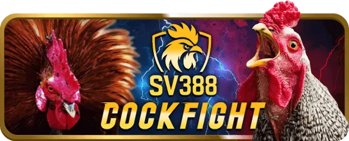 Bước 3: Đăng nhập và Bắt đầu Chơi